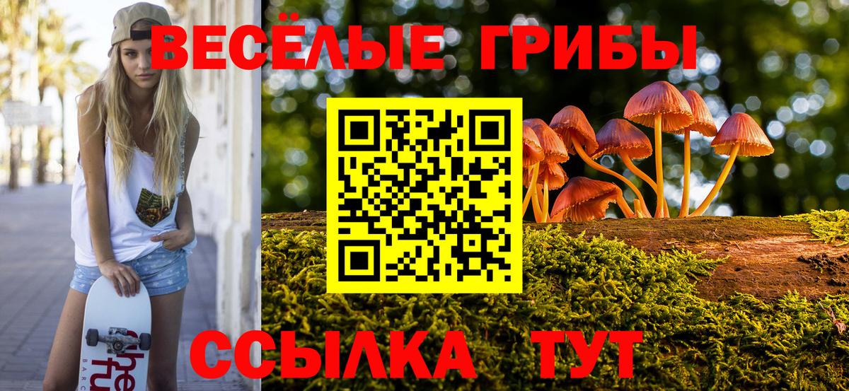 Галлюциногенные грибы GOLDEN TEACHER  Вход с VPN  Тайшет  Галлюциногенные грибы Psilocybine cubensis 